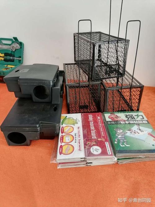 鼎创同园灭鼠在行动